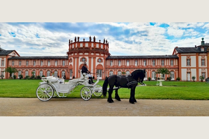 neue weiße Luxus Hochzeitskutsche gezogen von edlen Friesenpferden