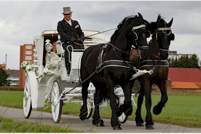 neue weiße Luxus Hochzeitskutsche gezogen von edlen Friesenpferden